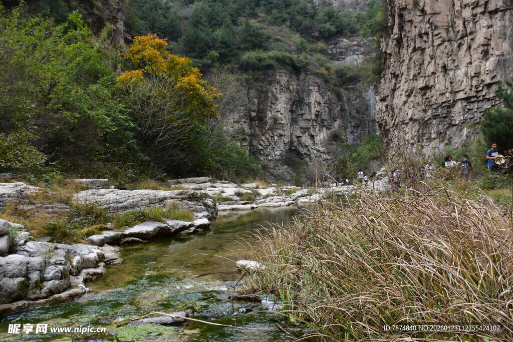 山间溪流旁的自然景致