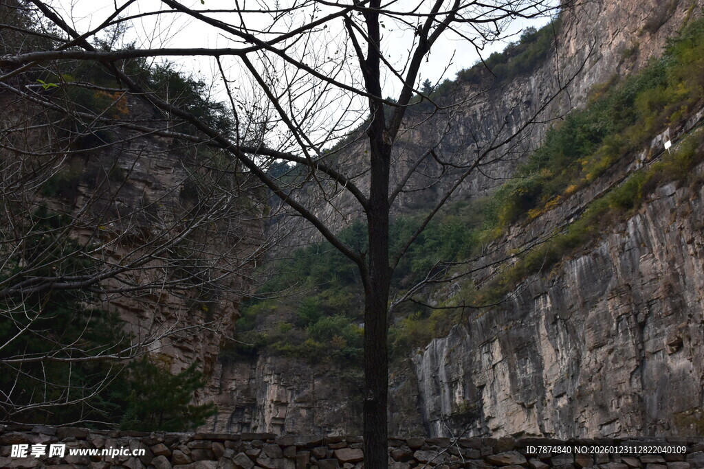 山间孤树 峭壁相伴