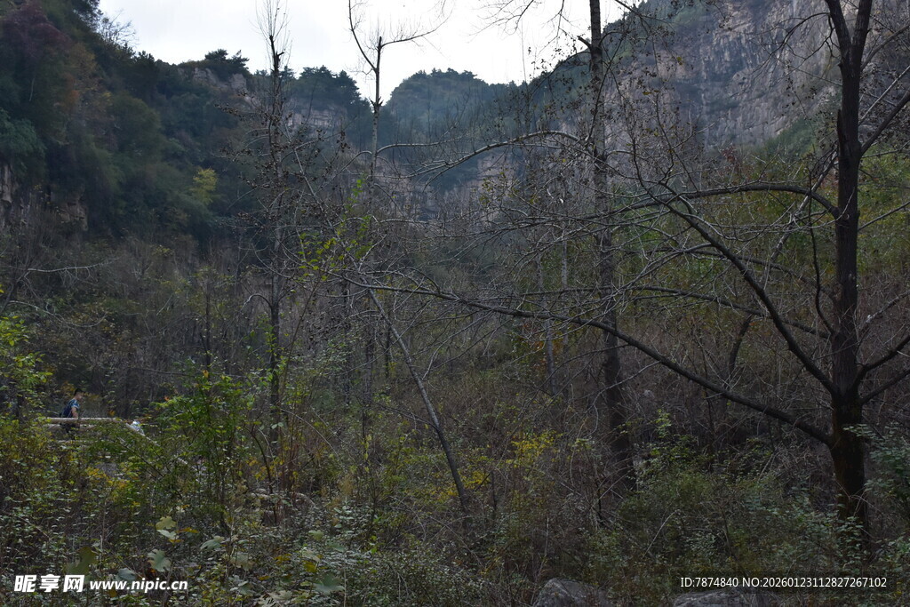 山间植被覆盖的自然景色
