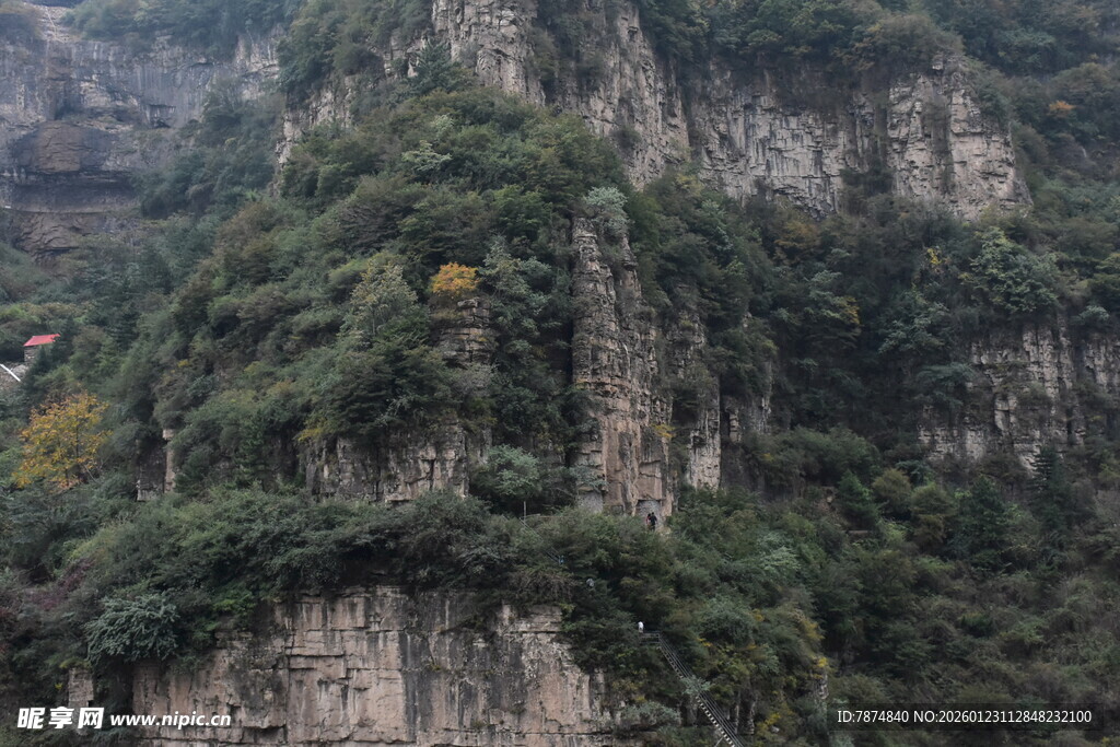 壮丽山峦植被覆盖景观