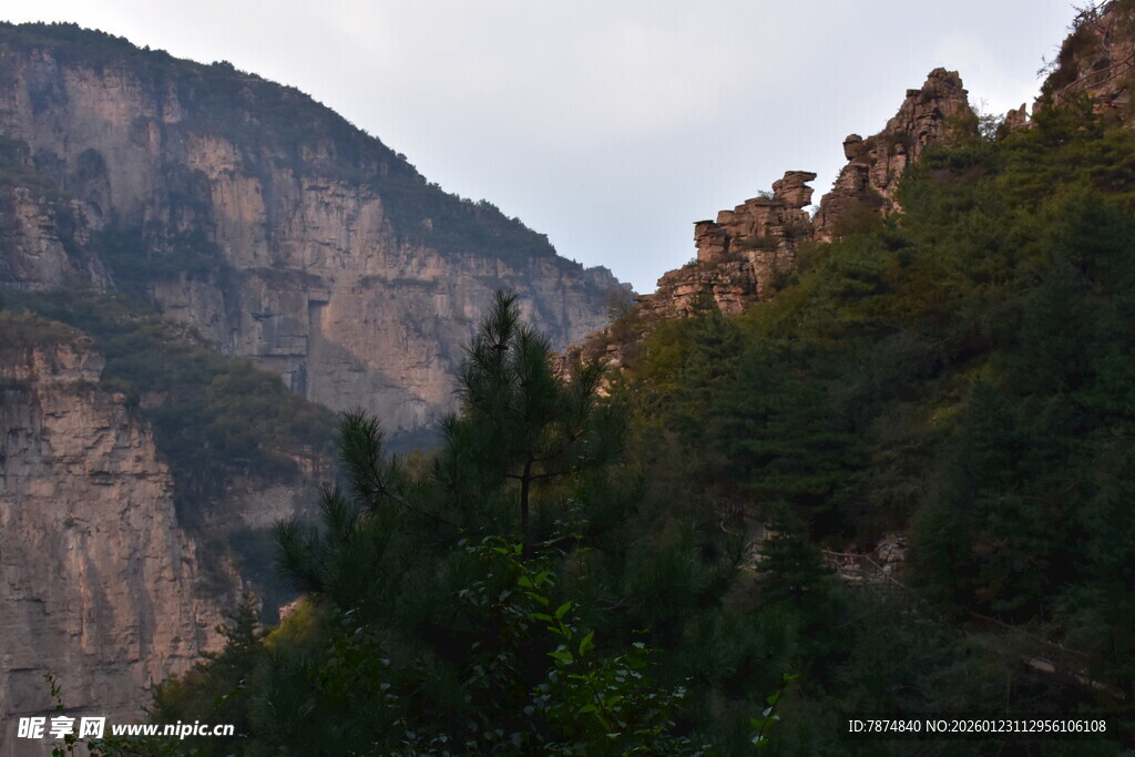 壮丽山景与葱郁植被