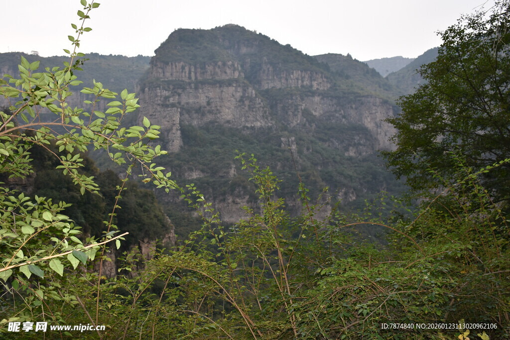 山峦叠翠间的绿意景致
