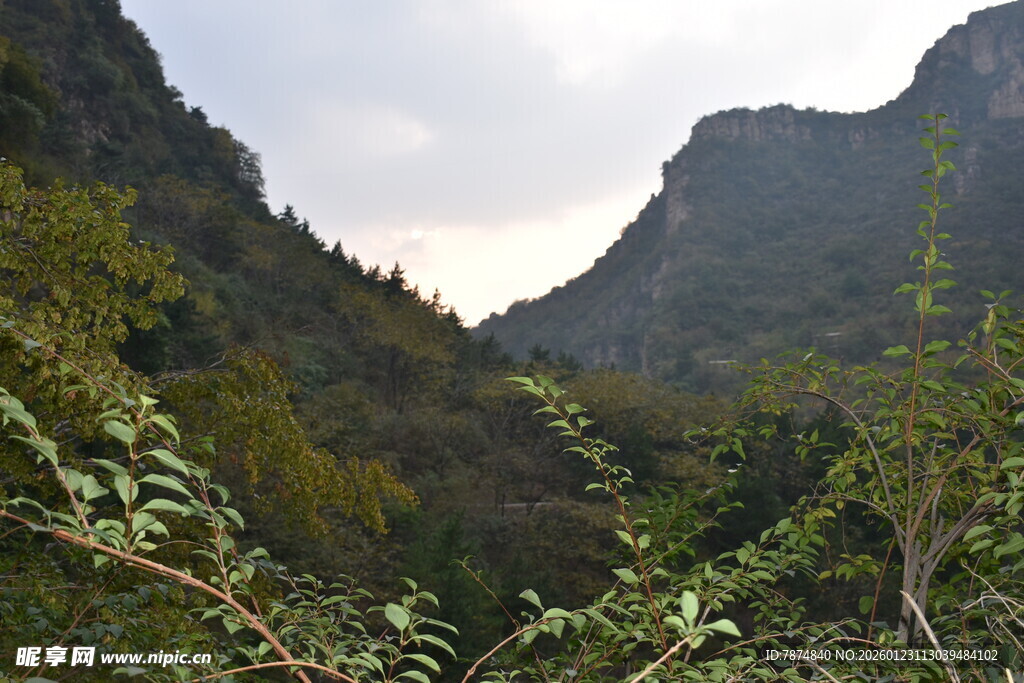 山间植被与壮丽山谷景色