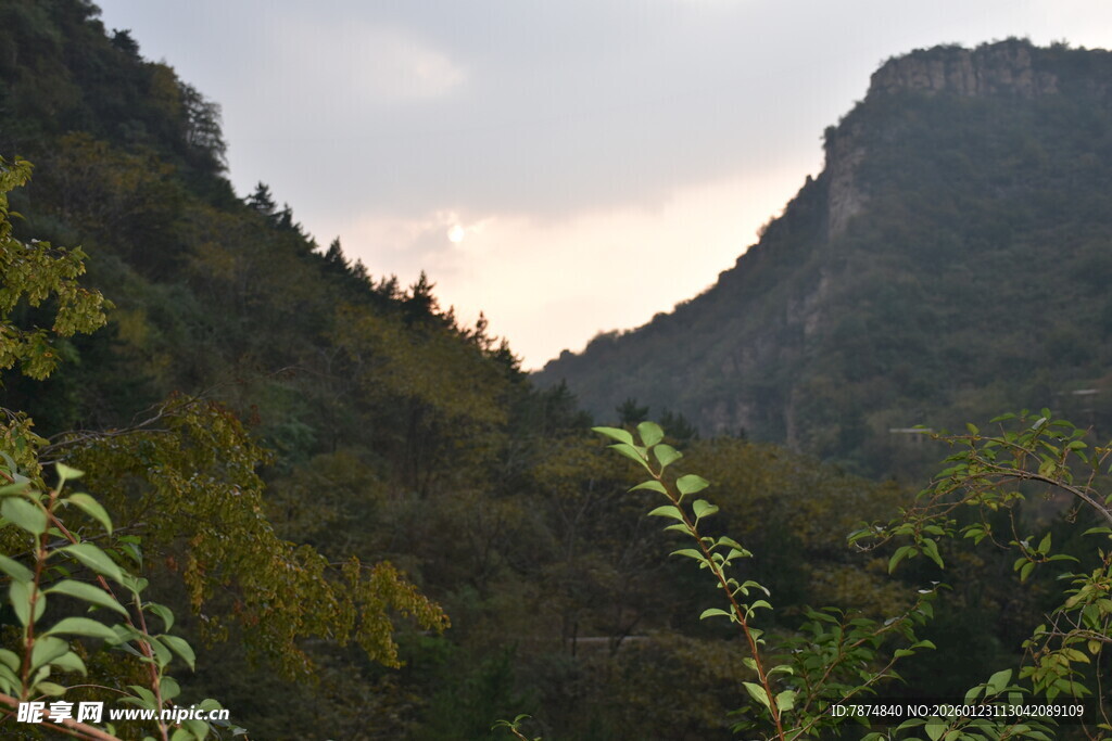 山间景致 绿意盎然的山谷