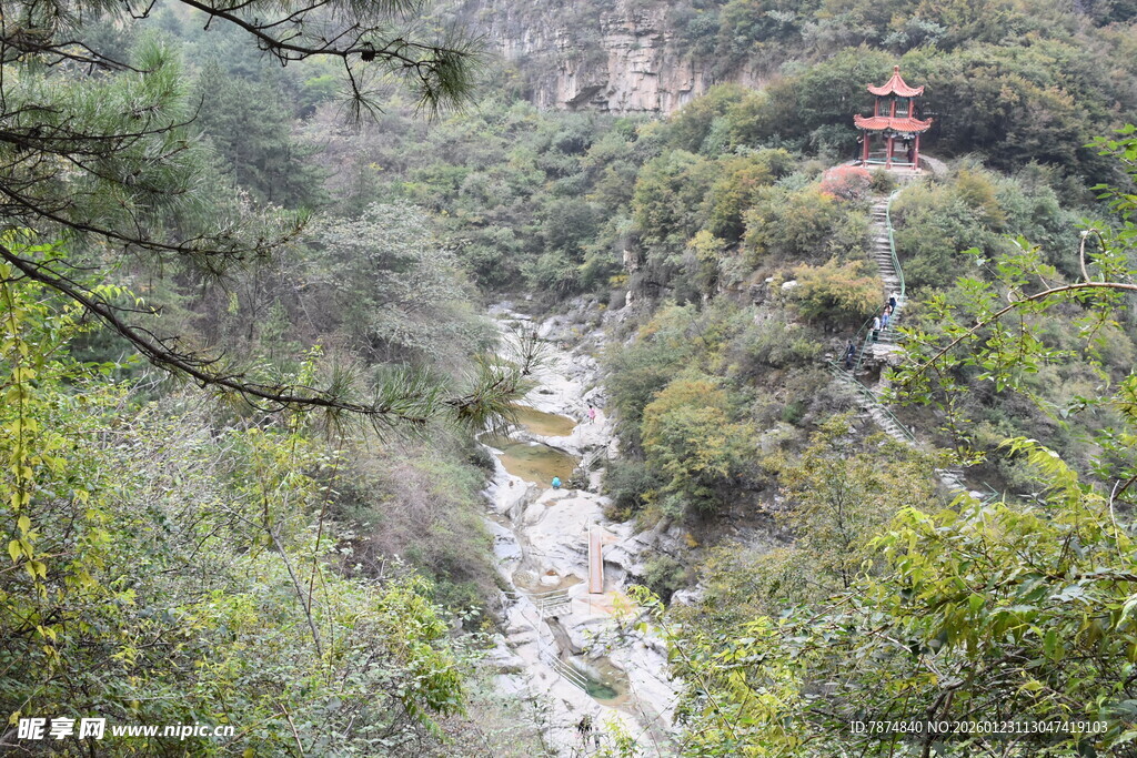 山间溪流穿林而过