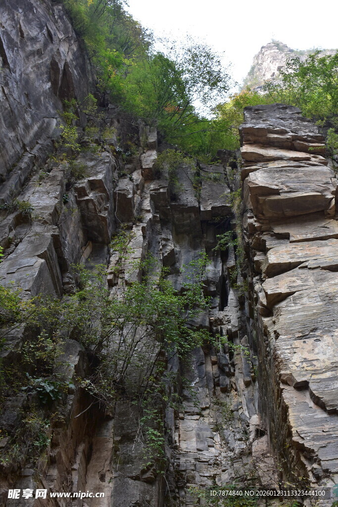 陡峭山崖上的绿色植被