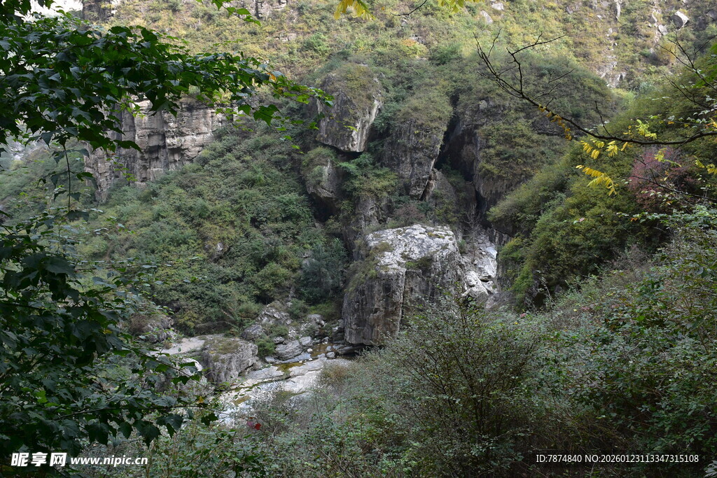 山间瀑布掩映于葱郁林木