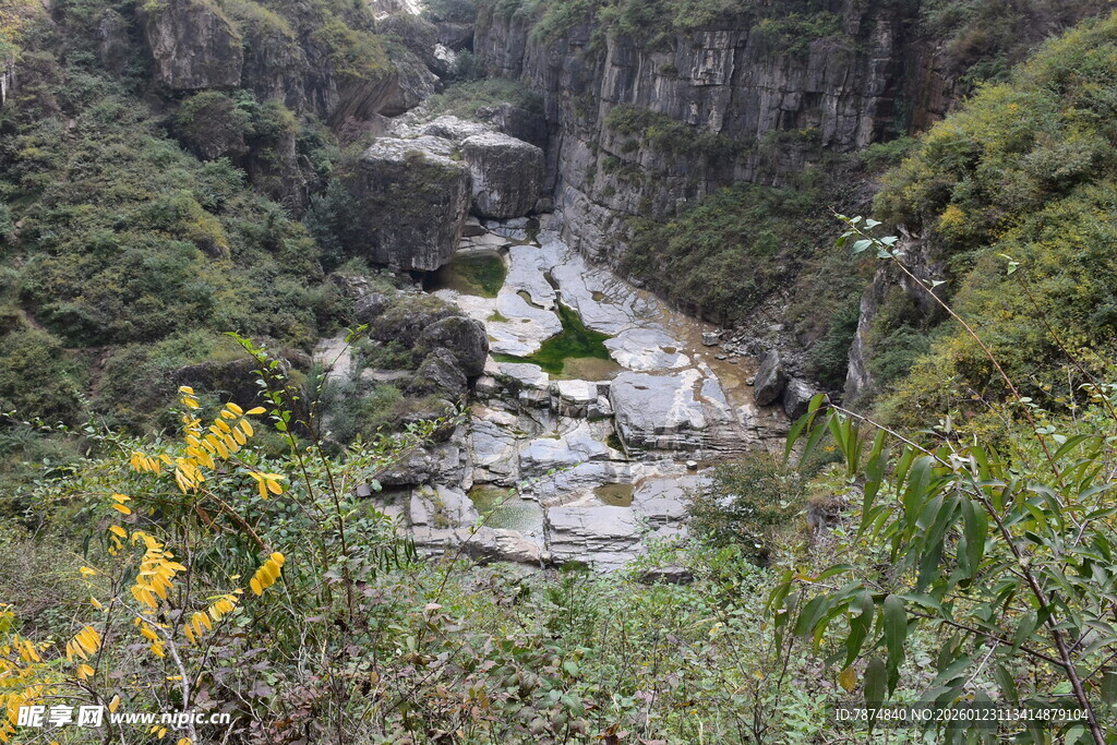 山间溪流伴繁花景色