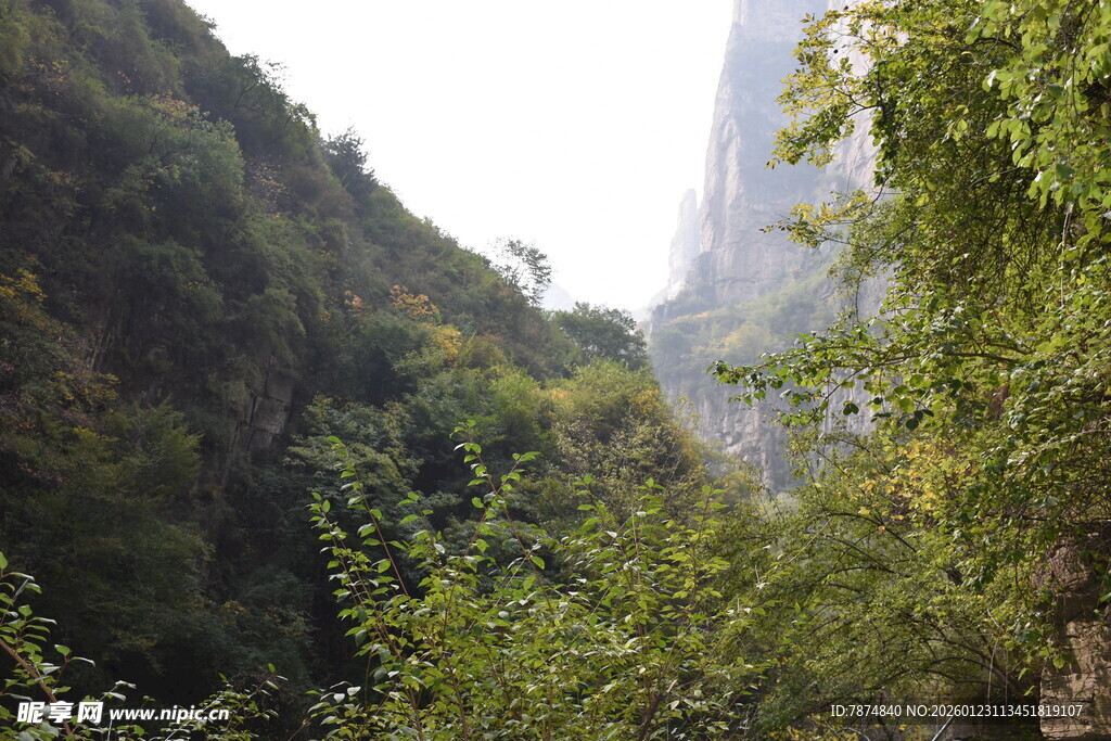 山间绿意盎然的自然景致