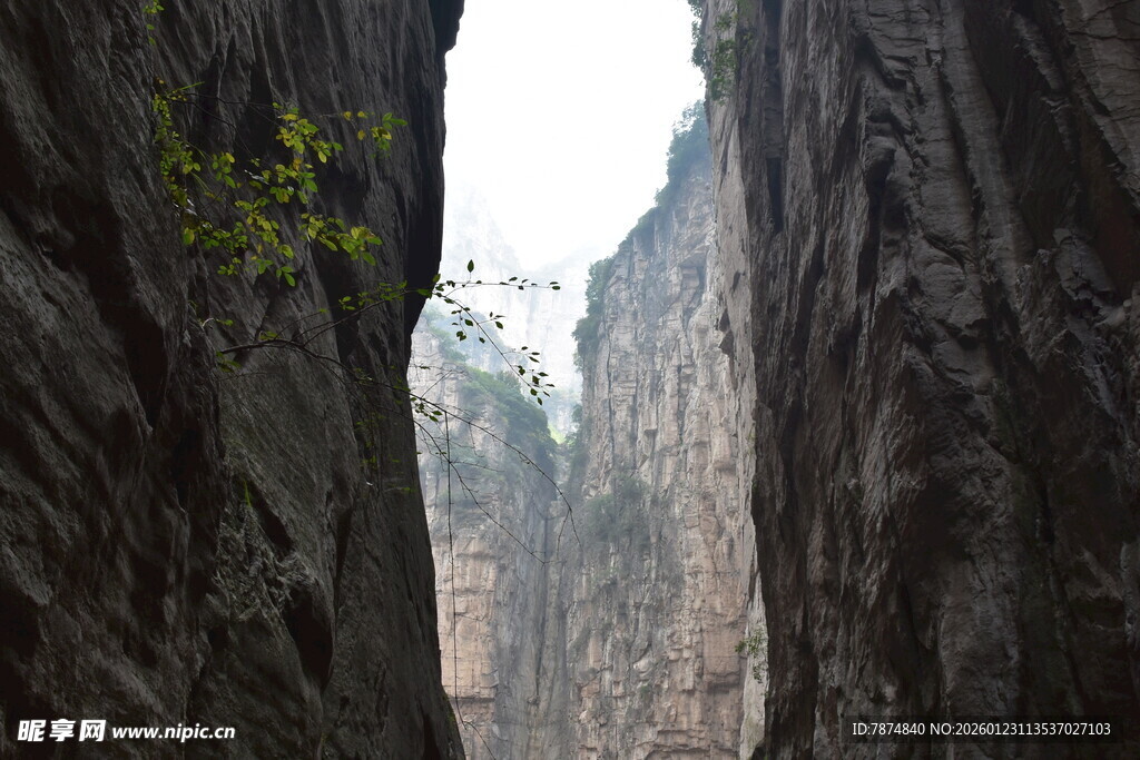 峡谷峭壁间的绿意