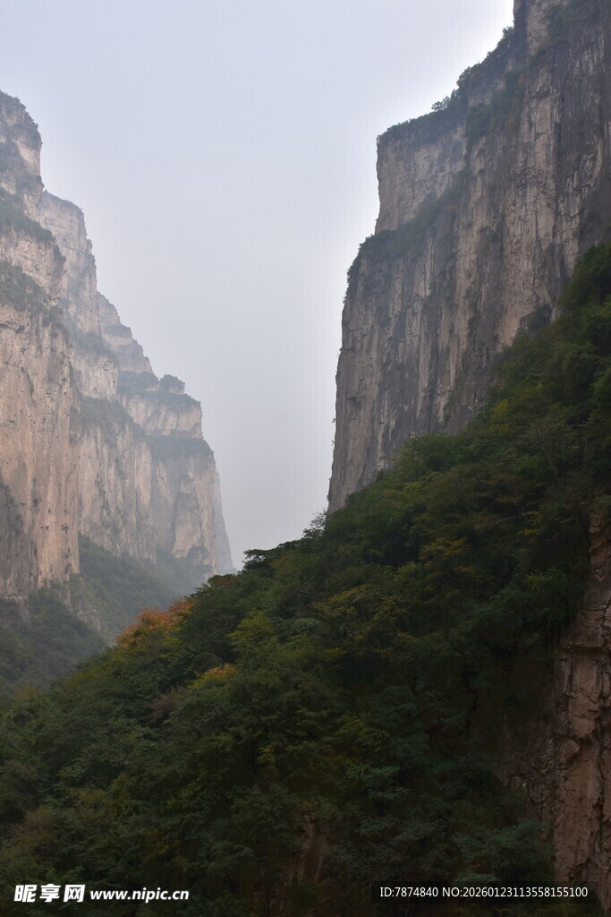 壮丽峡谷间的葱郁山景