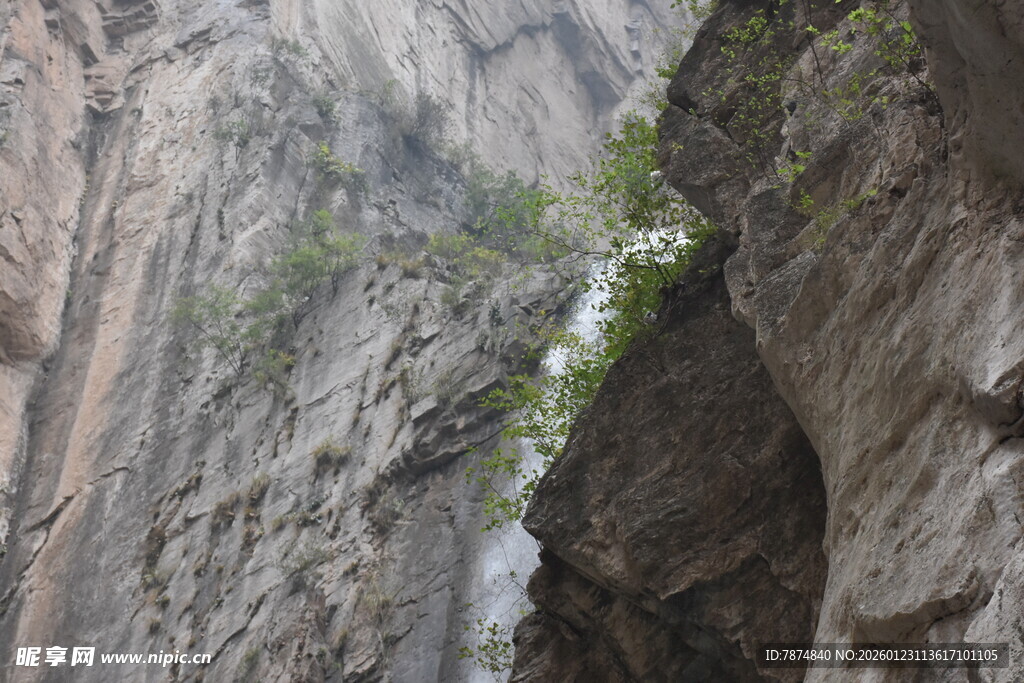 险峻峡谷间的生机绿意