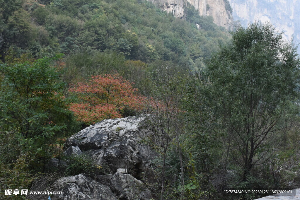 山林间的多彩景致