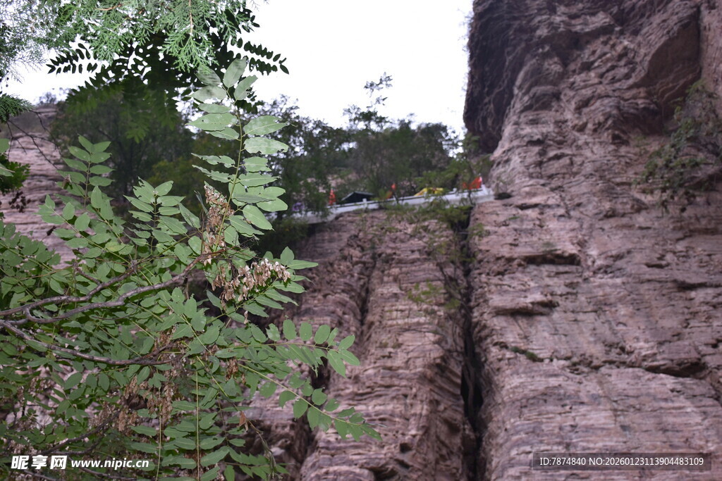 山间悬索桥与葱郁植被