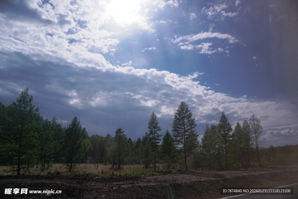 蓝天白云下的森林风景