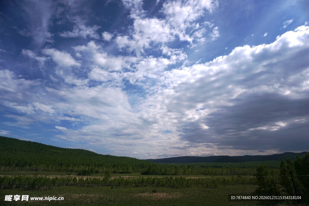 蓝天白云下的广袤原野