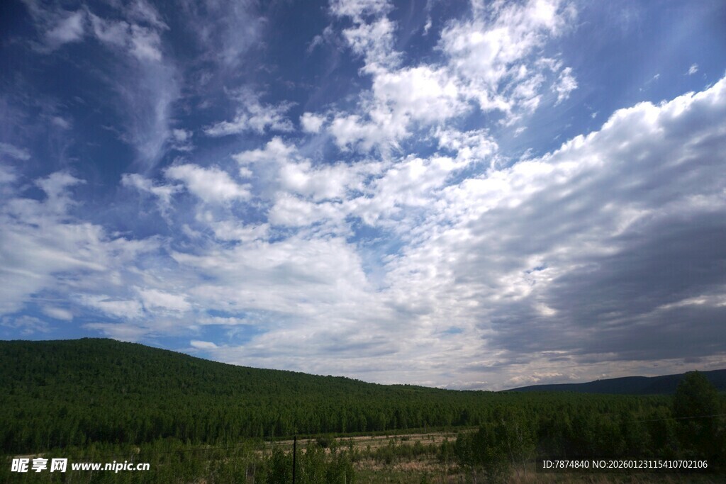 蓝天白云下的葱郁山林