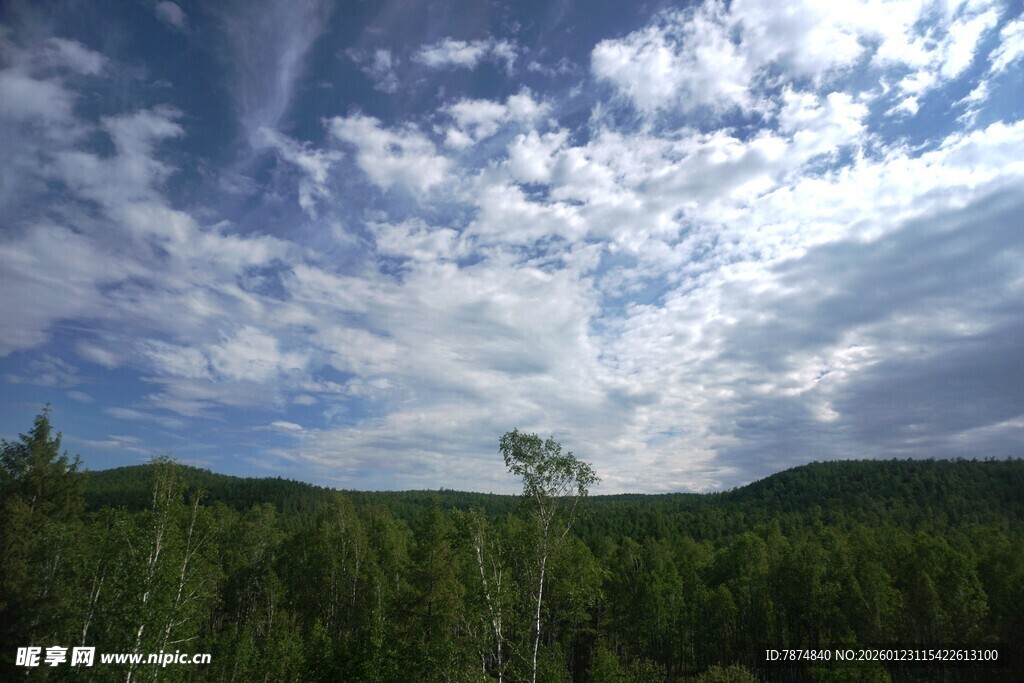 蓝天白云下的葱郁山林