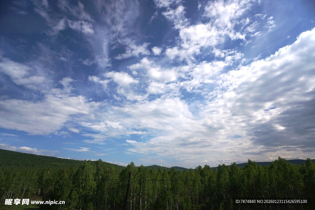 蓝天白云下的葱郁山林