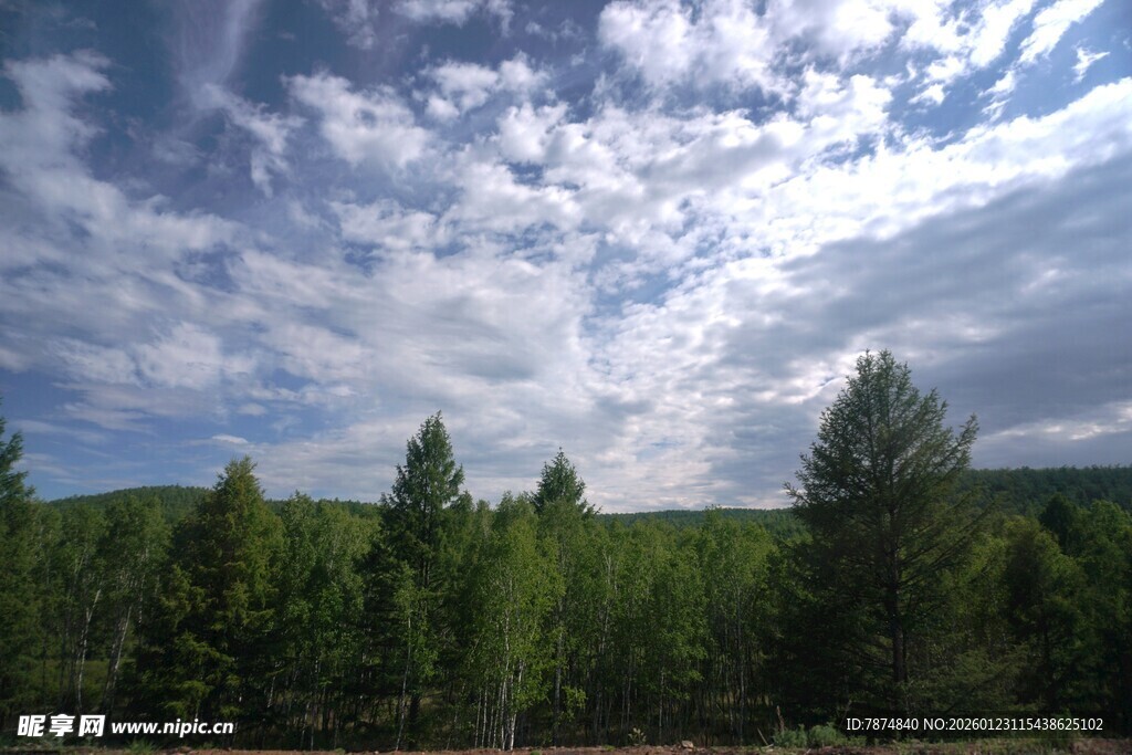 蓝天白云下的葱郁山林
