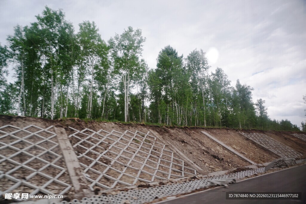 护坡工程旁的绿树景观