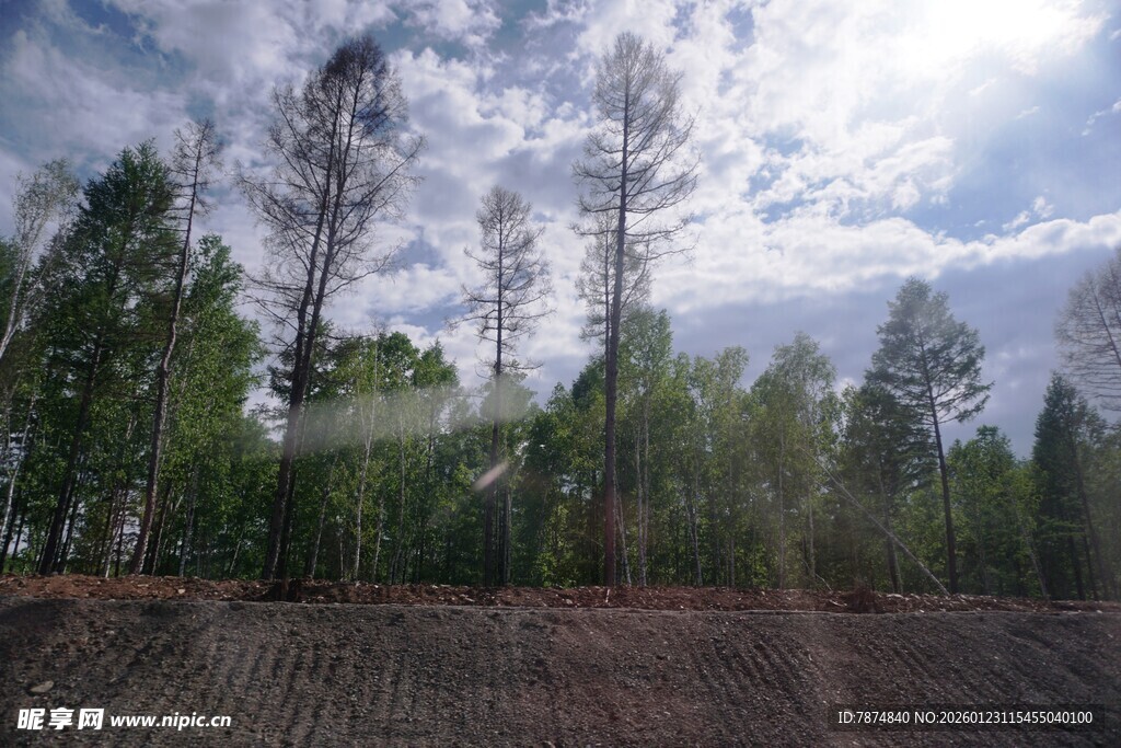 林间农田 蓝天白云之景