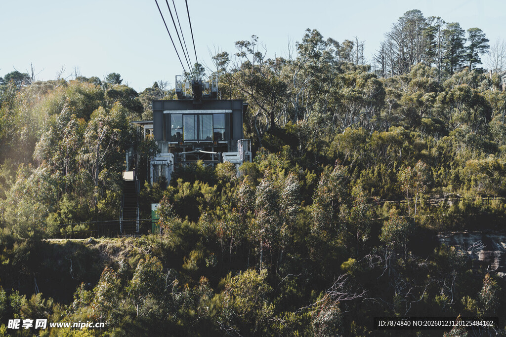 山间缆车穿梭于葱郁树林