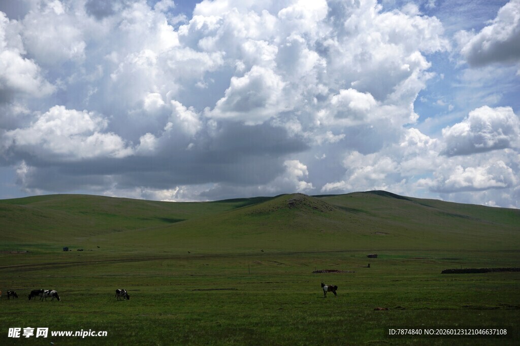 草原风光 蓝天白云下的美景