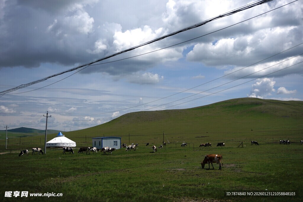 草原风光 马与蒙古包
