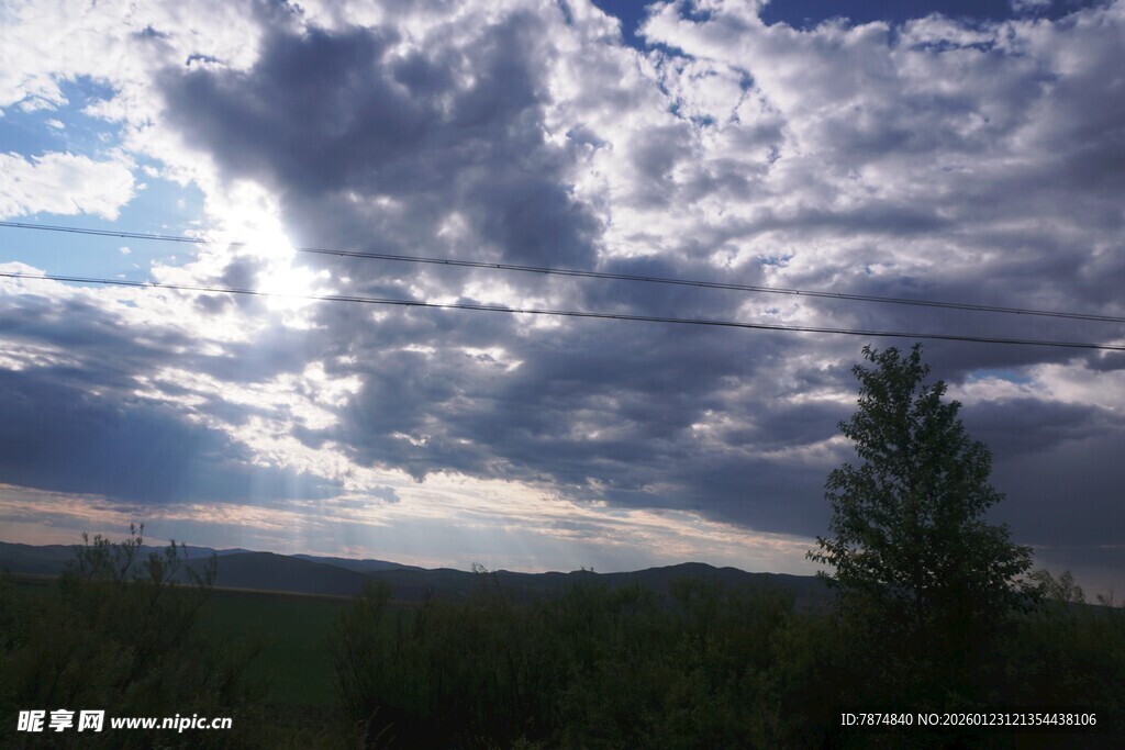 天空下的树木与云层