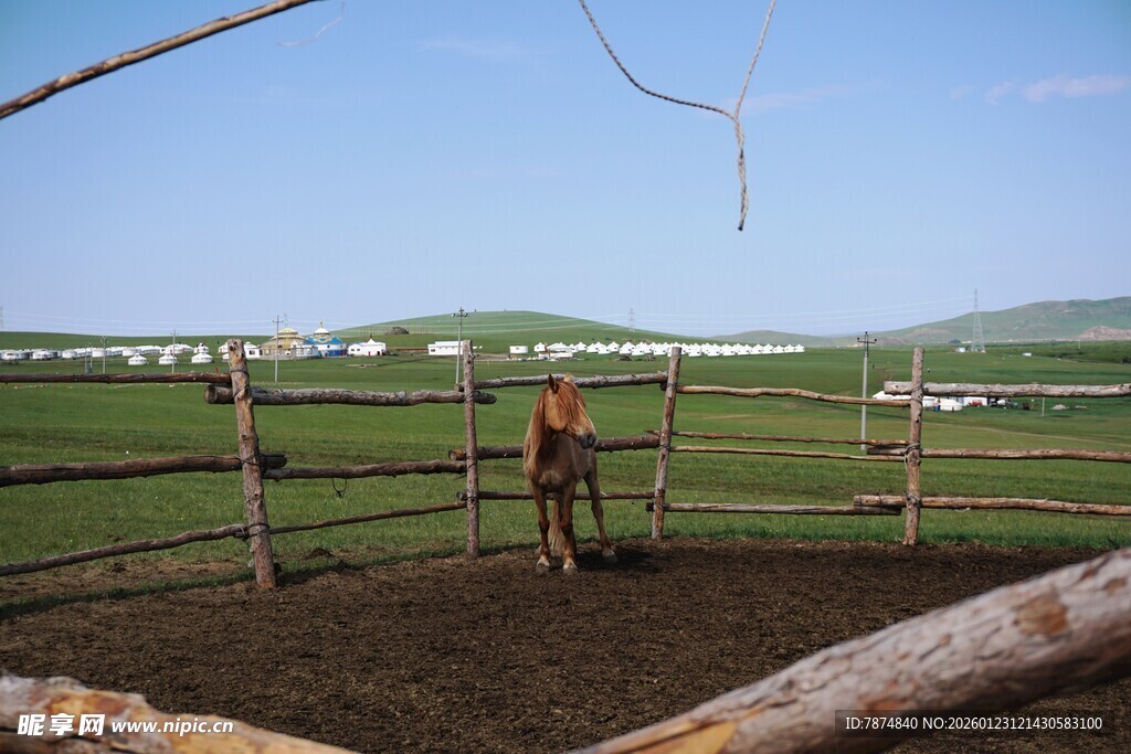 草原围栏内的骑马场景