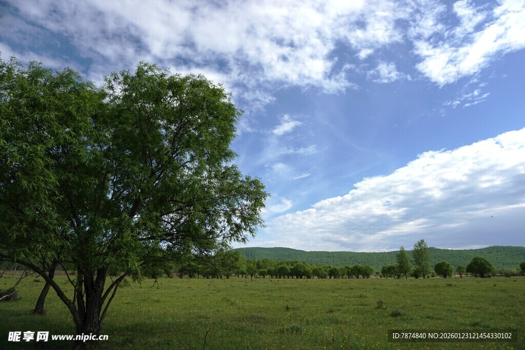 草原绿树蓝天美景
