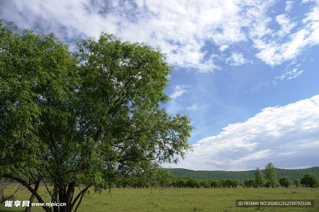 绿野蓝天树木风景图