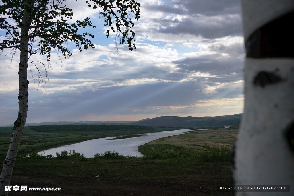 河畔树影下的自然景致