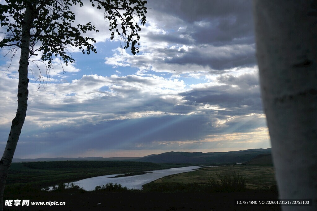黄昏下的河畔树木美景