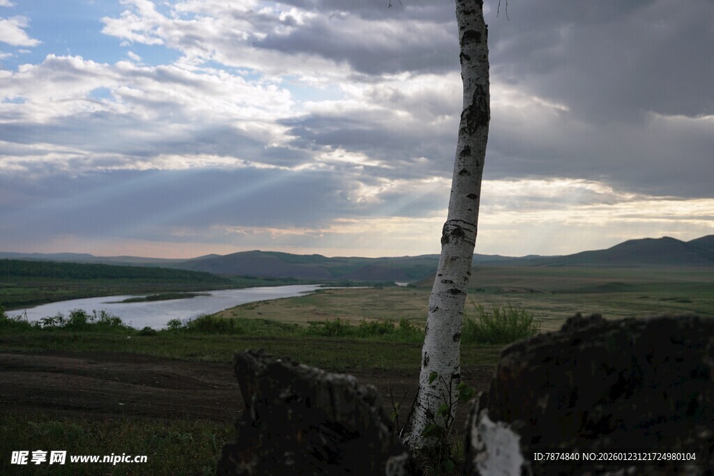 孤树映景下的湖光山色