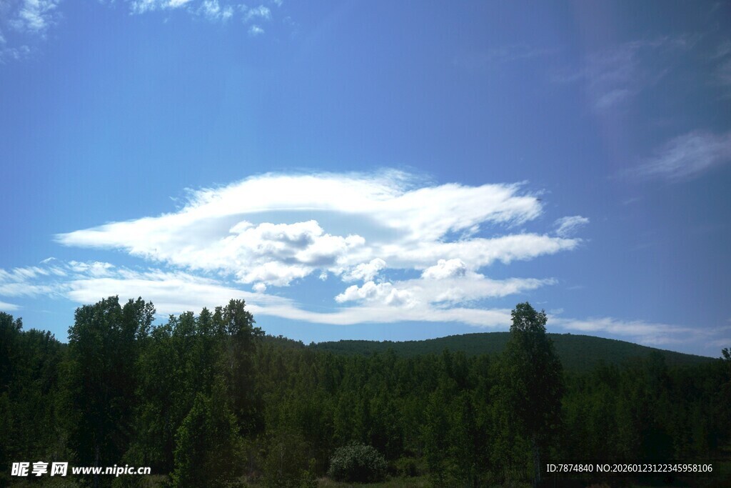 蓝天绿树间的白云美景