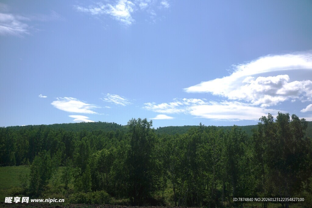 蓝天白云下的葱郁山林