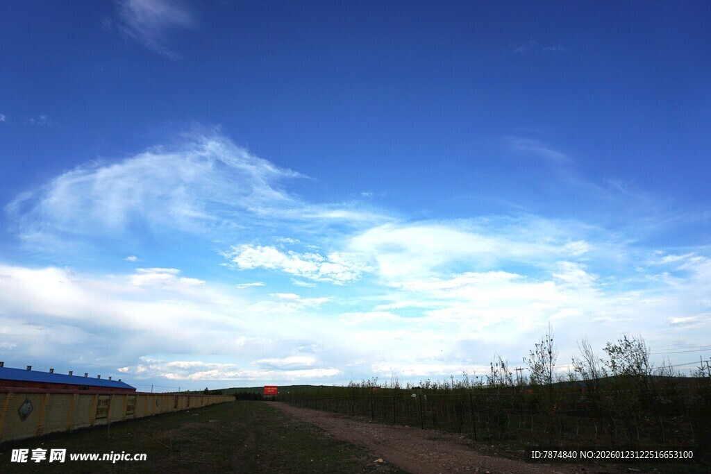 蓝天白云下的开阔原野