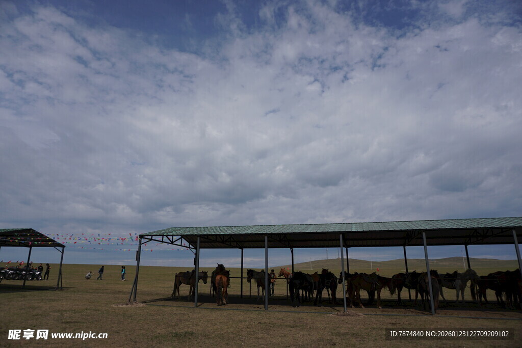 草原上的马匹棚舍景观