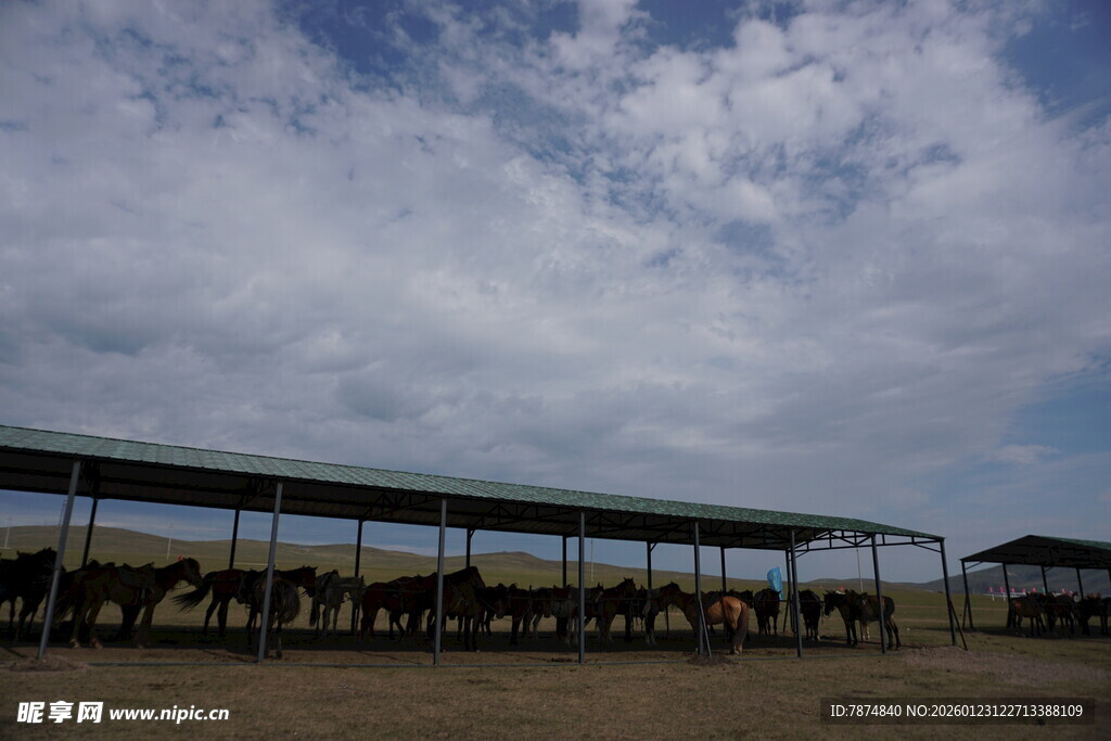 草原上的牲畜棚舍