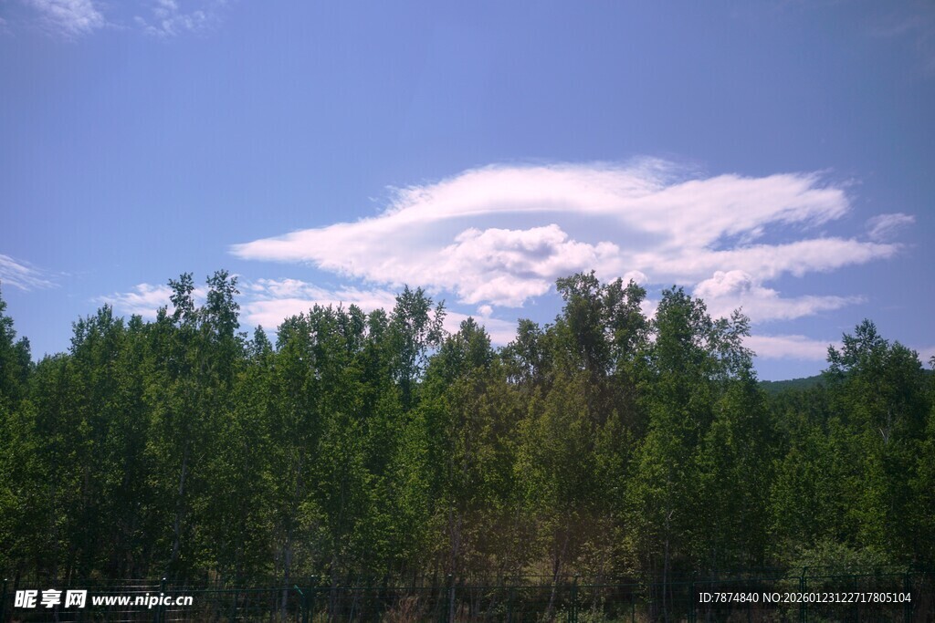 蓝天绿树间的云朵