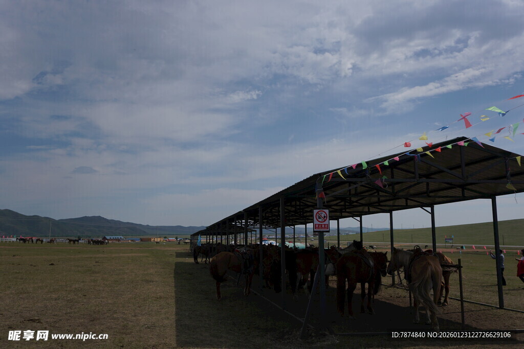 草原上的马匹棚舍