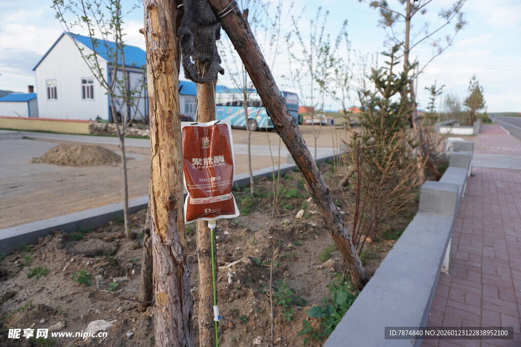 路边树木旁的红色标识牌