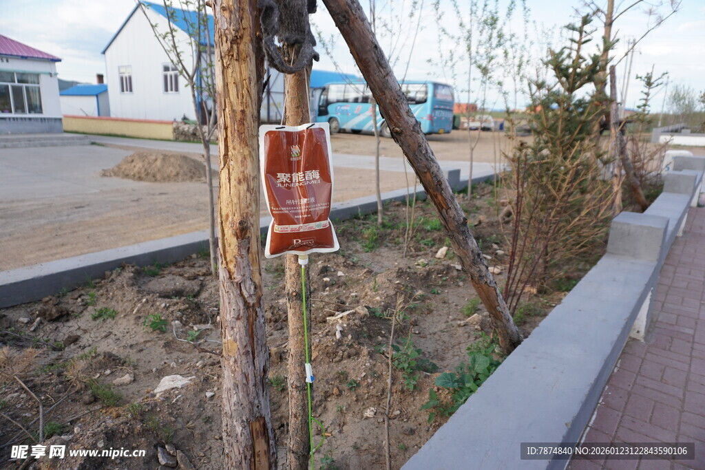 路边树木旁的红色标识牌