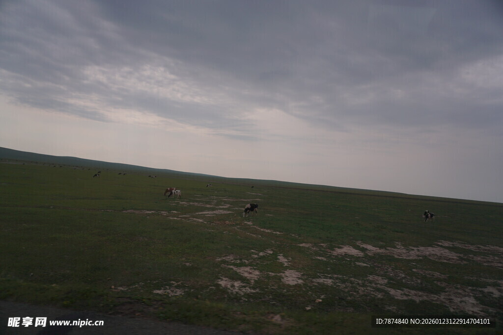 草原风光 远观零星动物