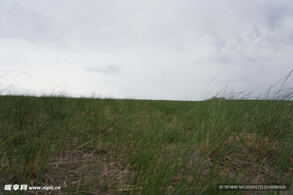 广袤草原上的天空与草地