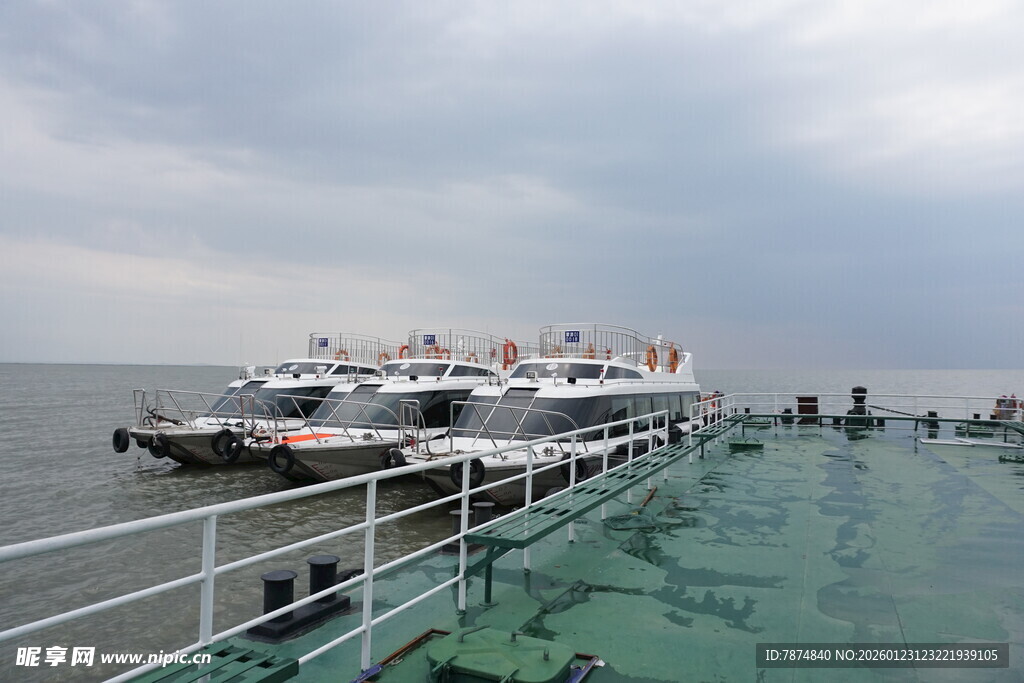 码头边停靠的多艘白色船只