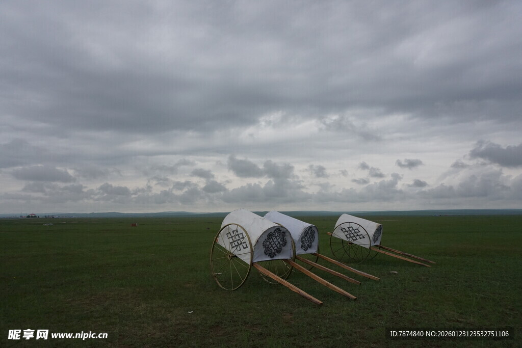 草原上的白色包裹物