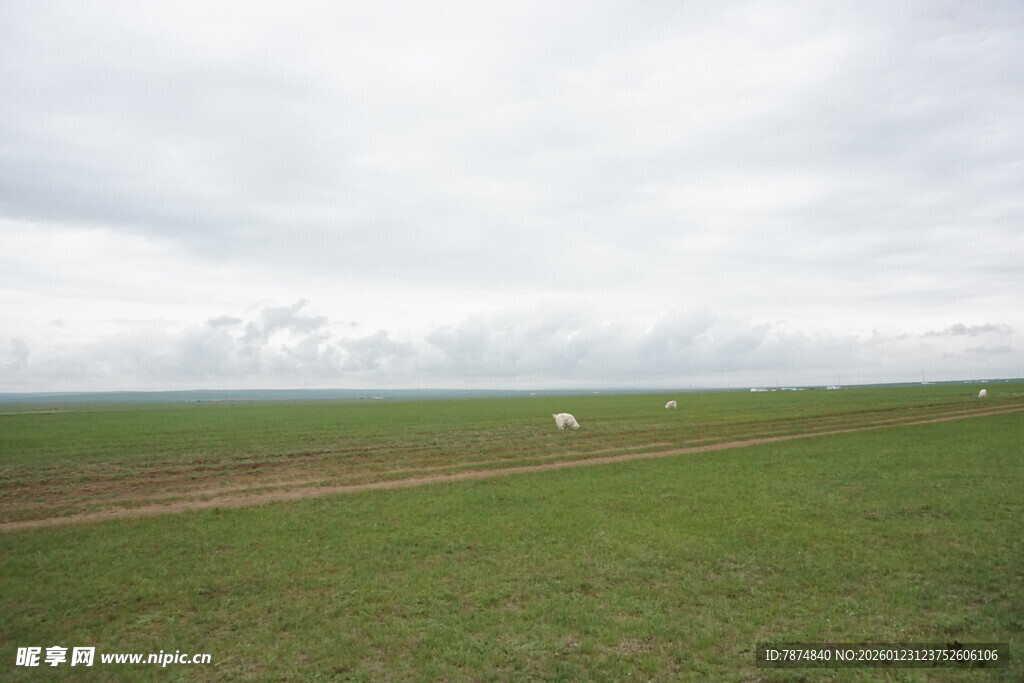 广袤绿野 天际云影